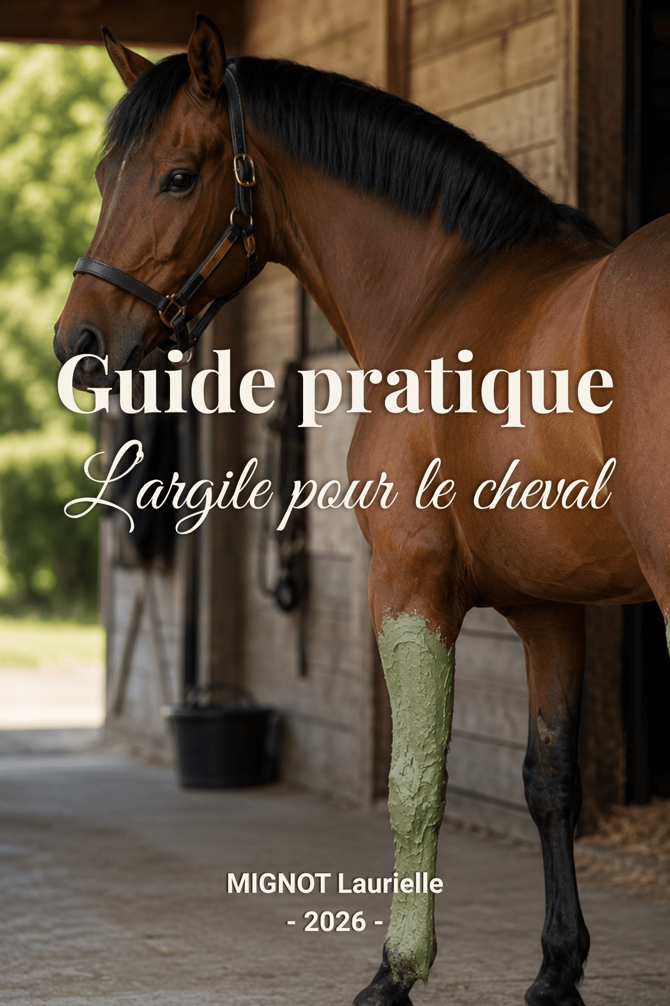 Couverture : Guide pratique - L'argile pour le cheval