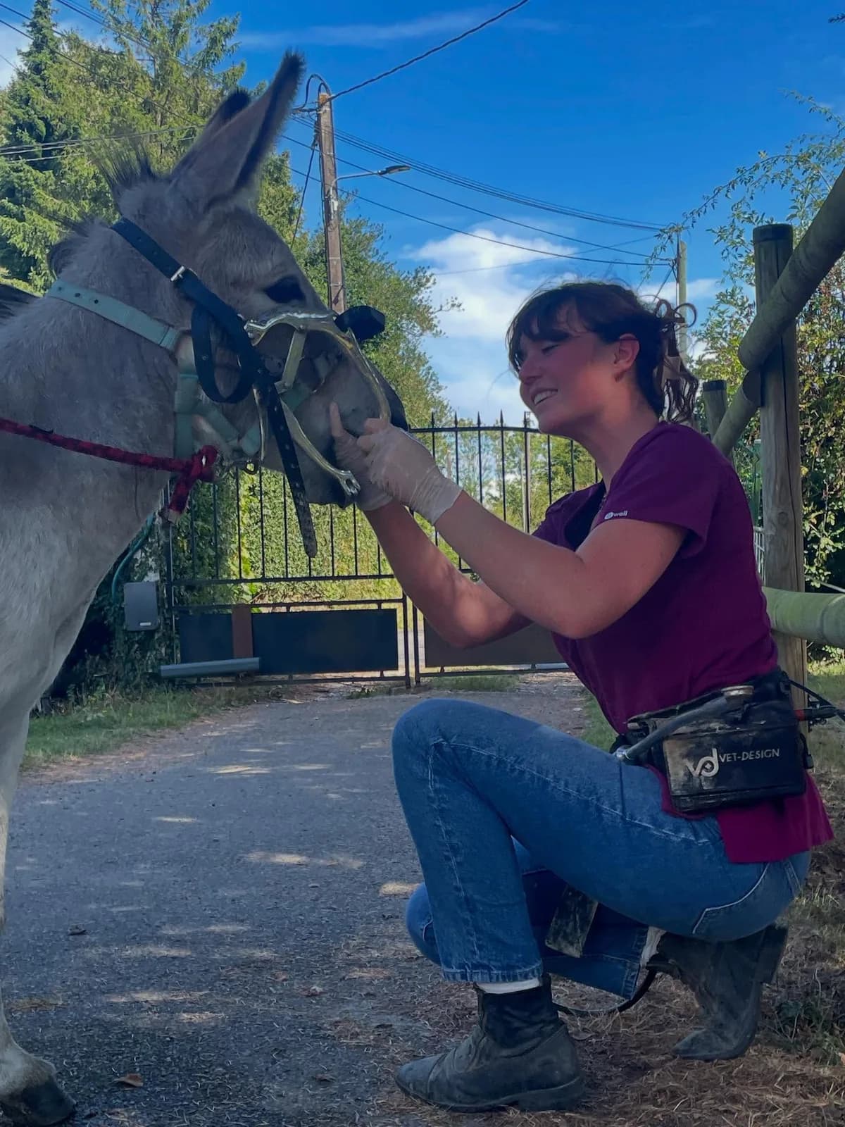 Nina Sedard réalisant un soin dentaire sur un âne